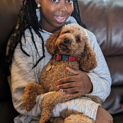 Chance/Standard Poodle									Puppy/Male	/December 27th, 2023,Chance is a snuggle pup. He loves to play but also loves to snuggle on the couch. He especially loves belly rubs. 